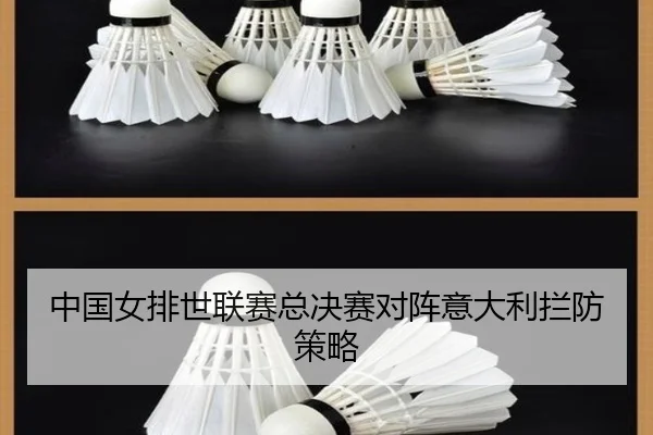 中国女排世联赛总决赛对阵意大利拦防策略